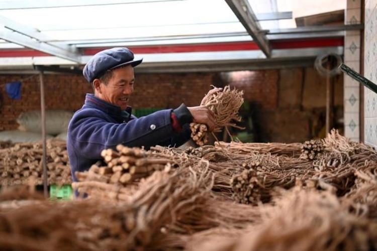 哪一年的元古堆村实现整村脱贫「新春走基层丨元古堆就像小兰州」