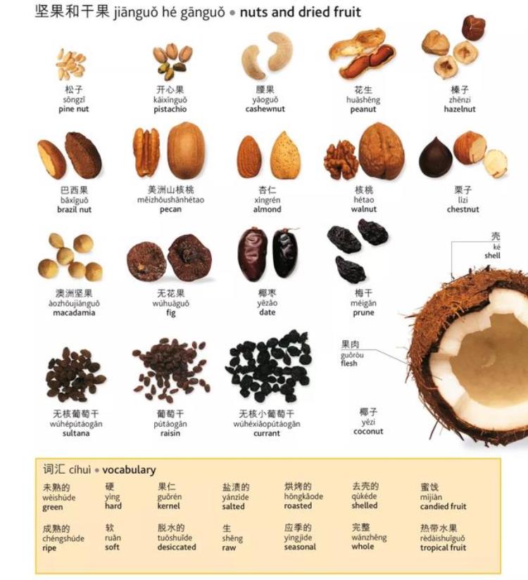 关于食物和饮料的英文单词有哪些「最全日常食物饮料的英文翻译建议收藏」
