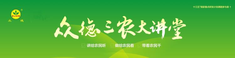 最新苹果品种苗木价格「2020年苹果苗木产量及价格预测」