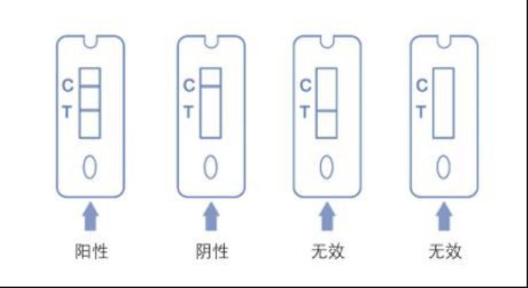 核酸检测为什么会有假阳性假阴性「核酸检测为何会有假阳假阴高频次筛查意义何在」