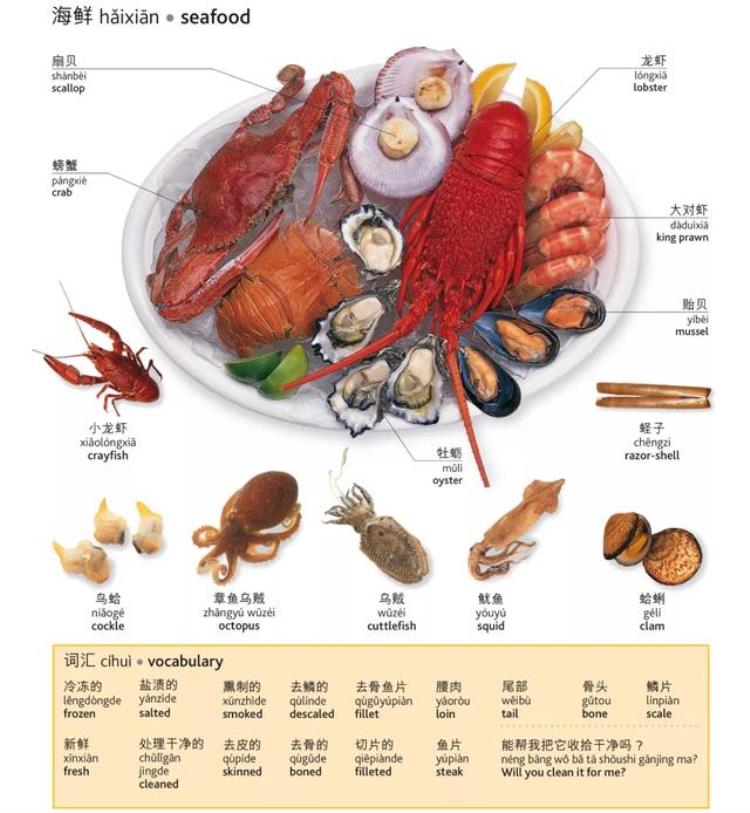 关于食物和饮料的英文单词有哪些「最全日常食物饮料的英文翻译建议收藏」