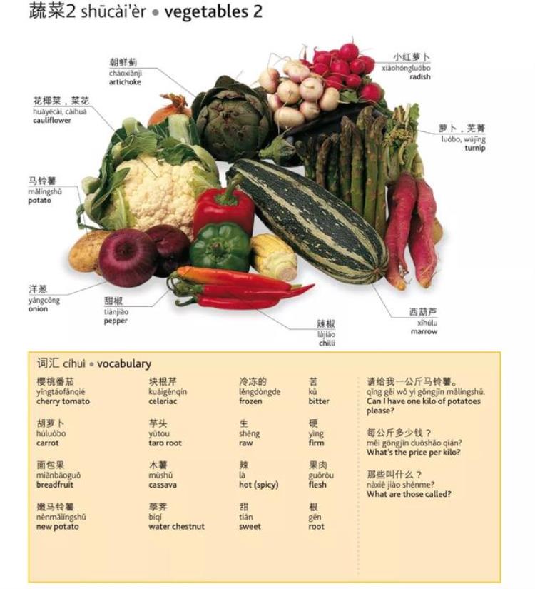 关于食物和饮料的英文单词有哪些「最全日常食物饮料的英文翻译建议收藏」