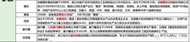 鹅绒被什么价「比双十一更优惠2022年双十二鹅绒被超全指南附价格分析」