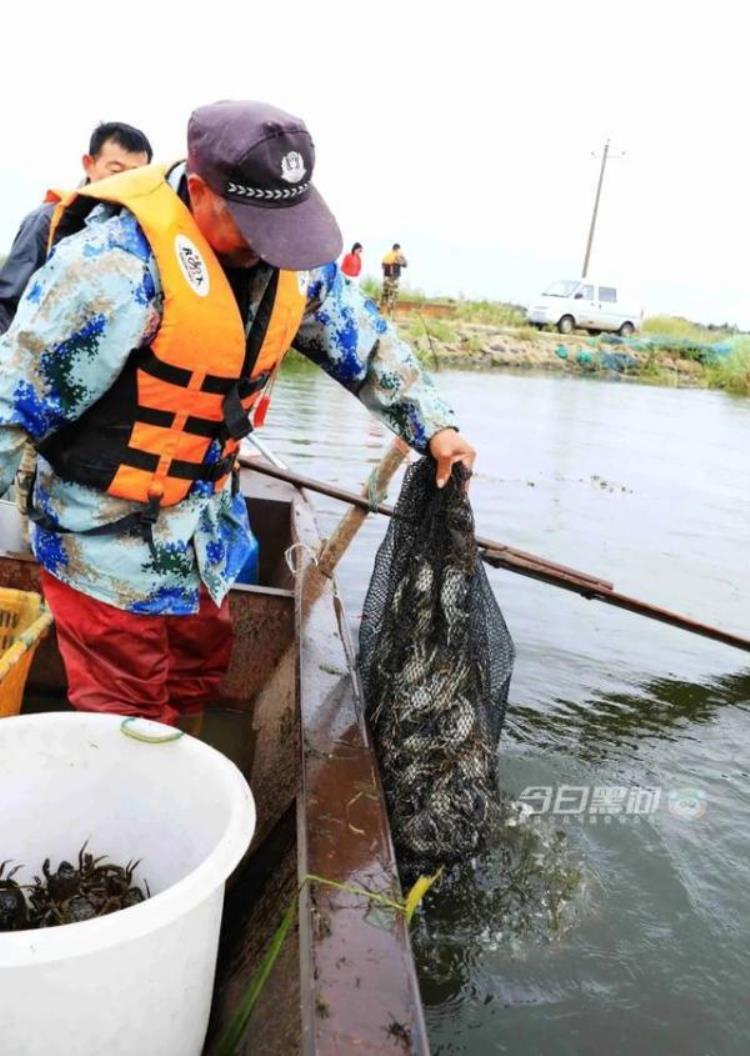 牛黑河火山湖里养大闸蟹简装三斤卖一百多块