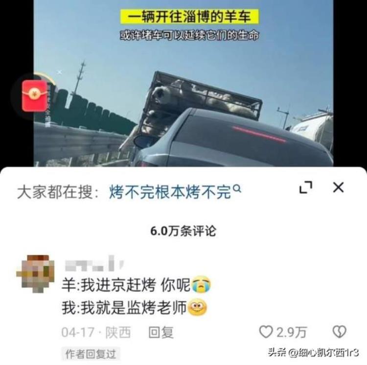 淄博为什么会火起来(淄博为什么会火起来)