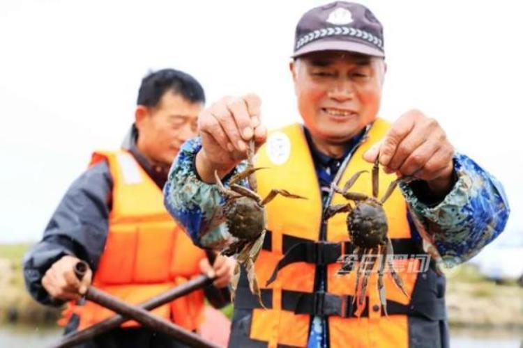 牛黑河火山湖里养大闸蟹简装三斤卖一百多块