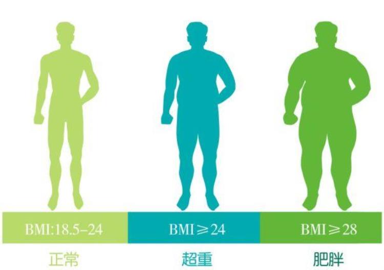 中国人偏胖还是偏瘦「中国人以体胖为福见面忌言人瘦人瘦不吉不是有病就是穷气」