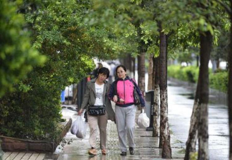 昆明一下雨就冷的说说「昆明有一种冷叫一下雨就冷遇雨成冬不是传说」