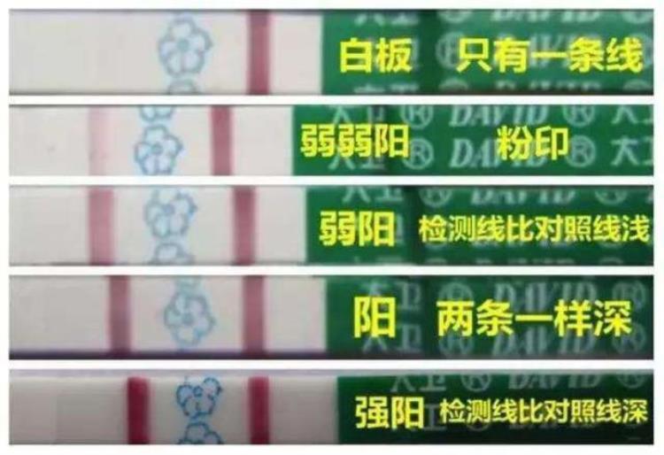 用排卵试纸测了几天都显示排卵是怎么回事「用排卵试纸测了几天都显示排卵是怎么回事」