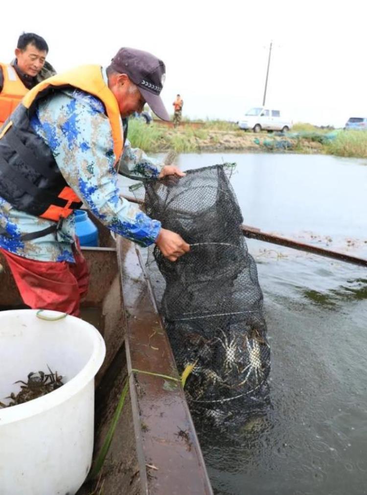 牛黑河火山湖里养大闸蟹简装三斤卖一百多块