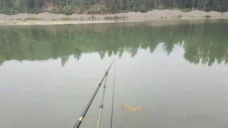 冬季野钓鲫鱼时间的最佳时间「冬季野钓鲫鱼的最佳时间段掌握好了不求爆护但很难空军」