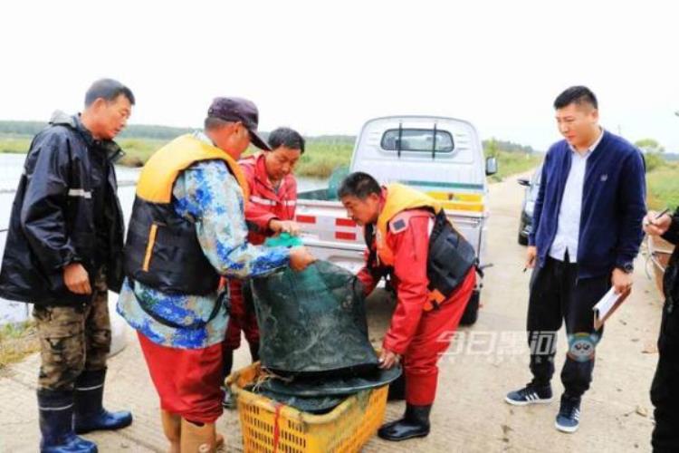 牛黑河火山湖里养大闸蟹简装三斤卖一百多块