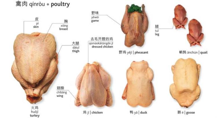 关于食物和饮料的英文单词有哪些「最全日常食物饮料的英文翻译建议收藏」