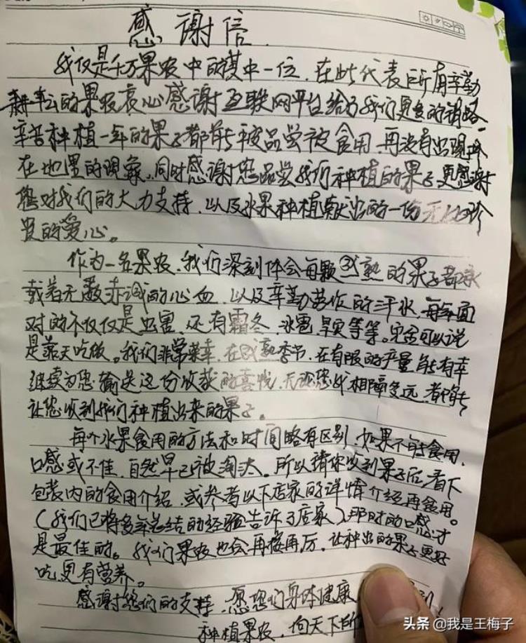 寄给桃子的信「网上买1箱桃子打开快递有封手写的感谢信必须曝光一下」