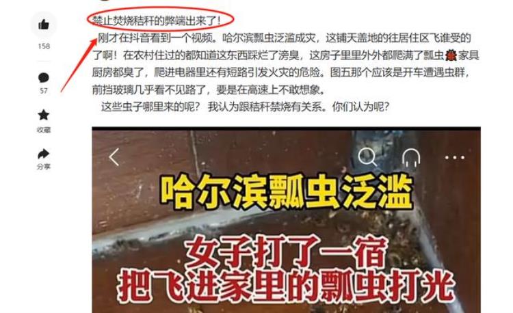 为什么哈尔滨这么多瓢虫「哈尔滨出现大量瓢虫密密麻麻到处都是难道是不烧麦秆的弊端」