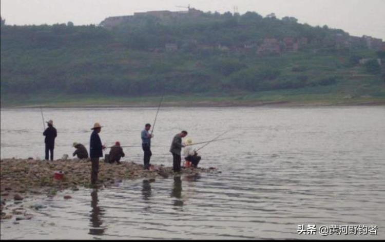 青鱼用什么最好钓「深度分析最近几年青鱼难钓的原因掌握好作钓青鱼的五个要点」