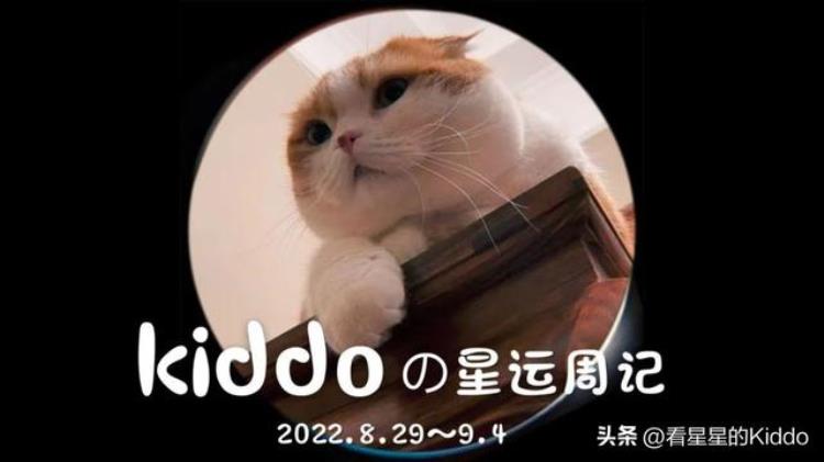 一周星运「Kiddoの星运周记丨202282994」