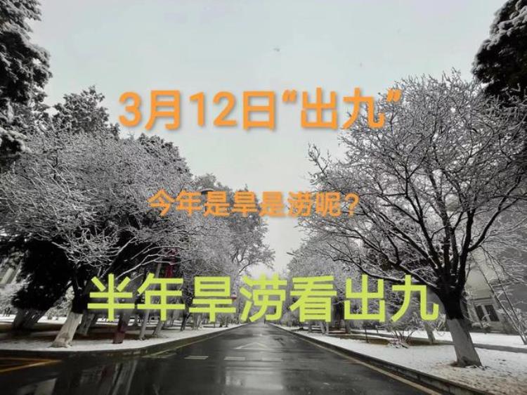 明年的天气是旱是涝「明日出九老话说半年旱涝看出九今年是旱是涝看农谚咋说」