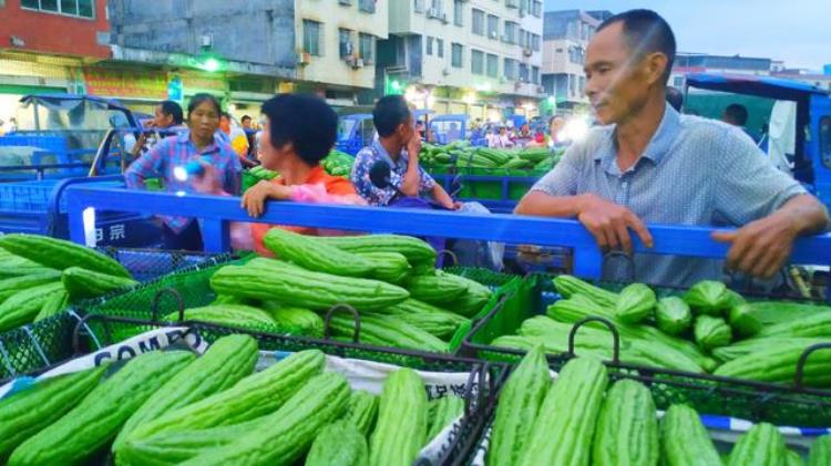 苦瓜为什么这么贵「苦瓜从农民手里卖出去很便宜为啥我们买这么贵原来猫腻在这里」