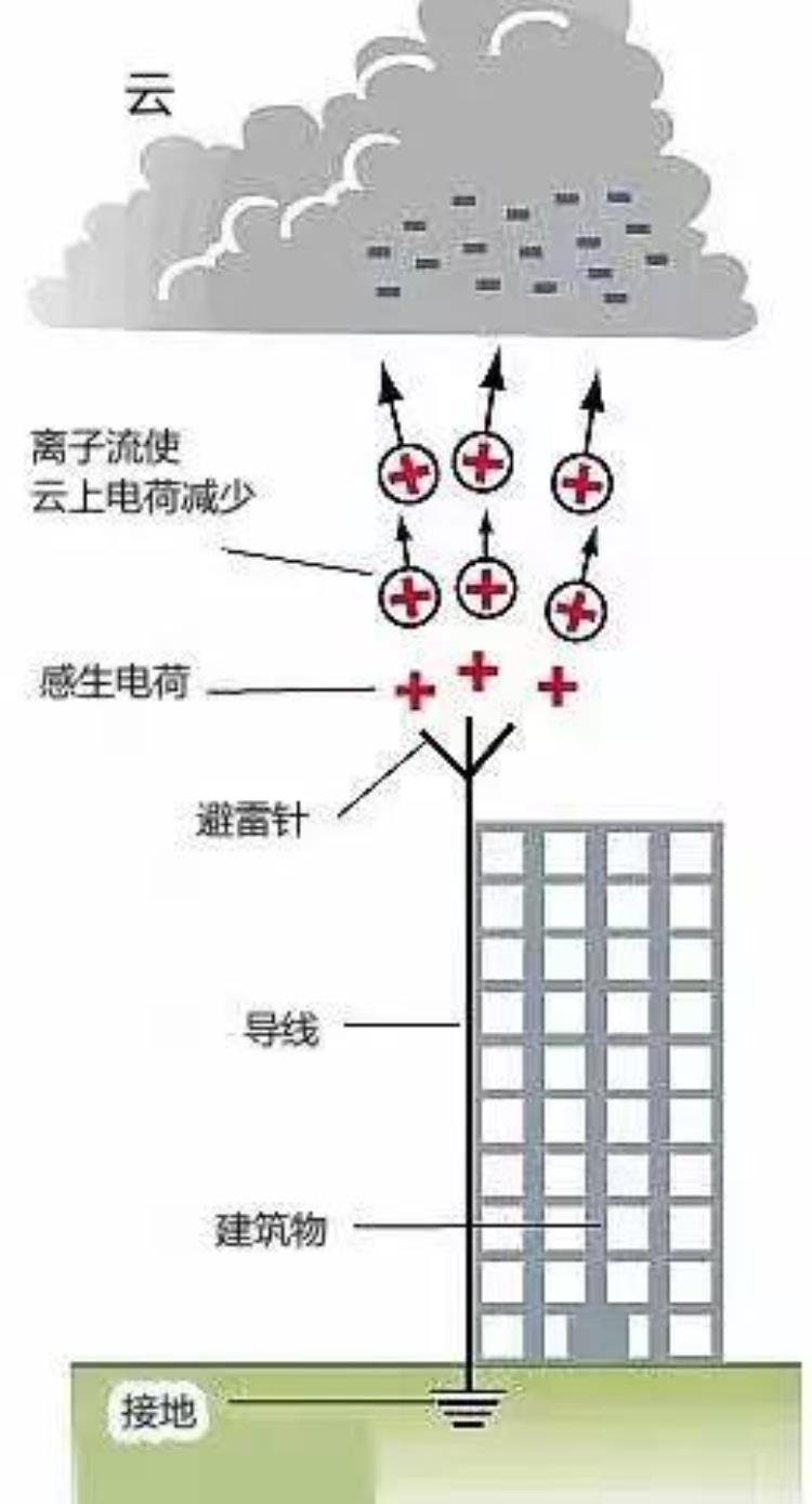 抗原检测的工作原理是什么「抗原检测的工作原理是什么|No341」