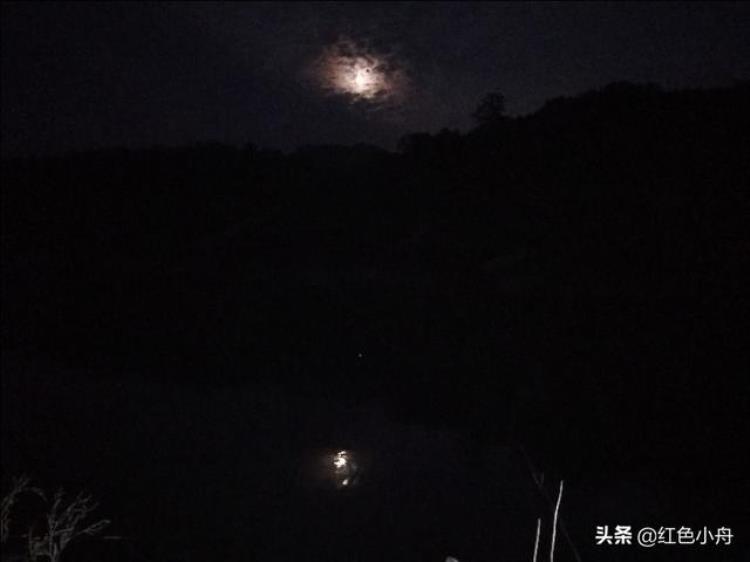 三月的鲤鱼为什么不能吃「三月三鲤鱼上河滩为什么不同地区夜钓渔获差距那么大」