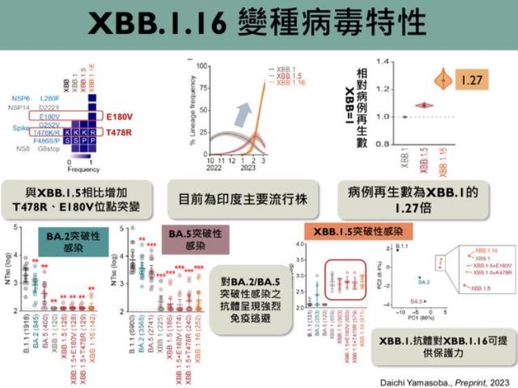 香港病毒学家金冬雁「金冬雁解读香港疫情每天数万人感染XBB116只是纸老虎」