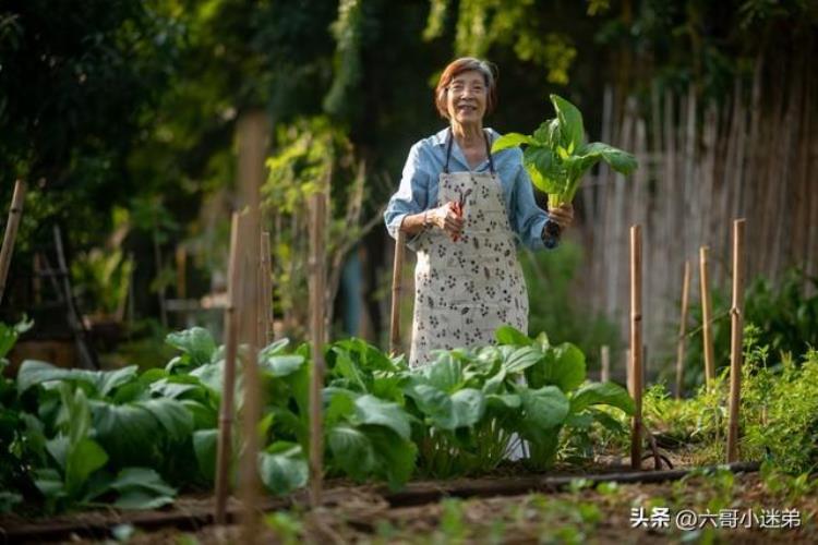 是什么让女人慢慢远离娘家的人「远离重男轻女的娘家」