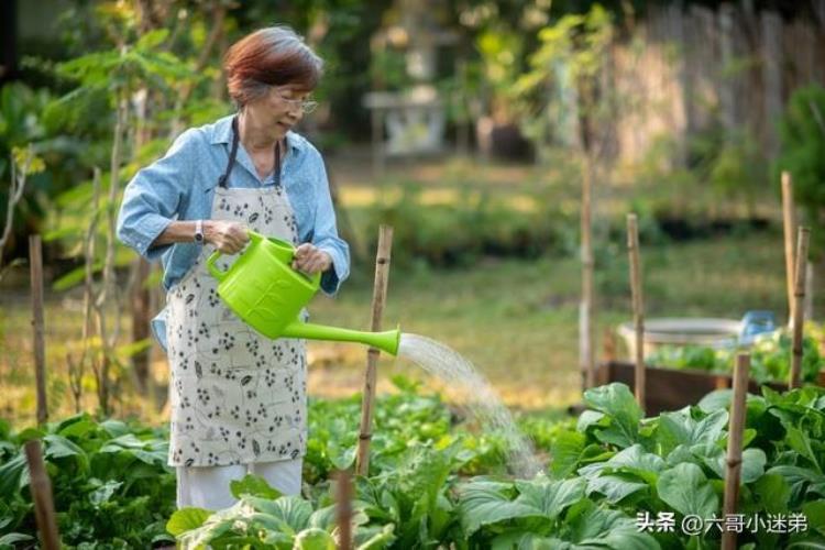 是什么让女人慢慢远离娘家的人「远离重男轻女的娘家」