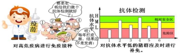 为什么要给动物做疫病监测和检测「为什么要给动物做疫病监测和检测」