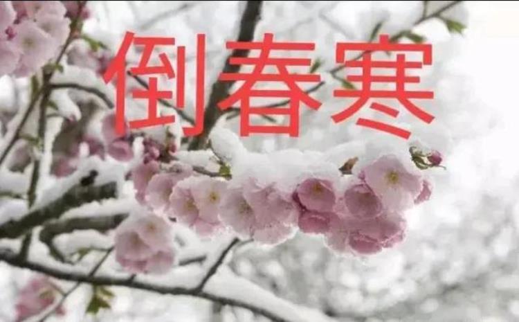 4月暴雪是什么原因「4月多地暴雪冷到破纪录今年夏天是冷夏还是酷夏看农谚咋说」