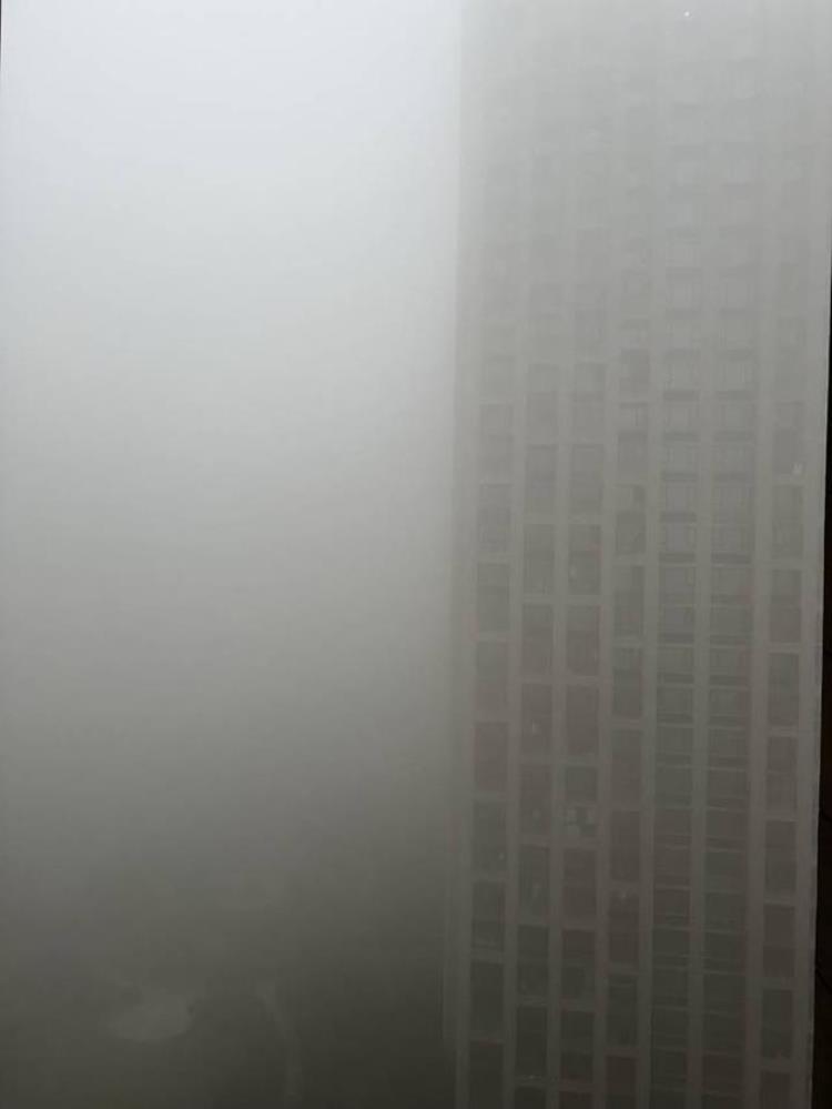 今年为什么这么多雾「晚上大雾明天什么天气」