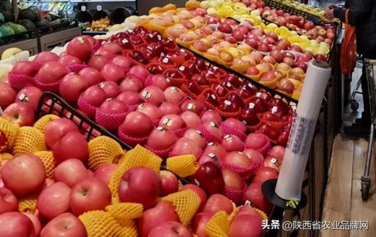 现在什么品种的苹果销量好「现在什么苹果卖得快苹果市场动态评析」