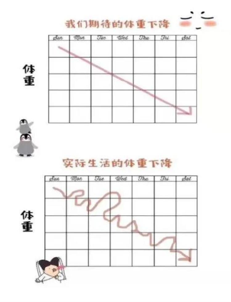 减肥一直不掉称是不是平台期「减肥期间体重持续不掉称你可能到了平台期」