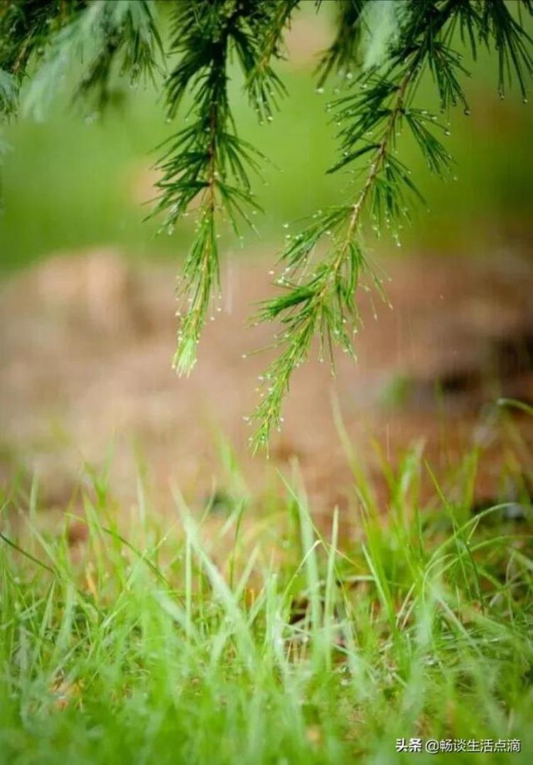 十月十六是什么节气「谚语说十月十六晴交春落雨到清明啥意思有什么预兆」