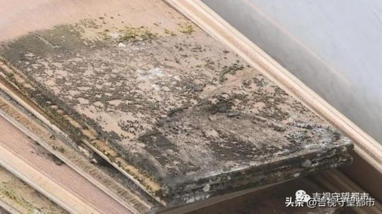 精装房墙面返潮原因「精装房墙体鼓包还渗水地产水蒸汽惹的祸」