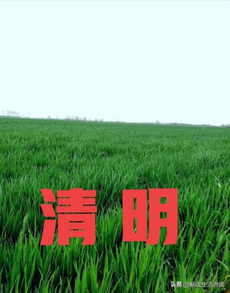 十月十六是什么节气「谚语说十月十六晴交春落雨到清明啥意思有什么预兆」