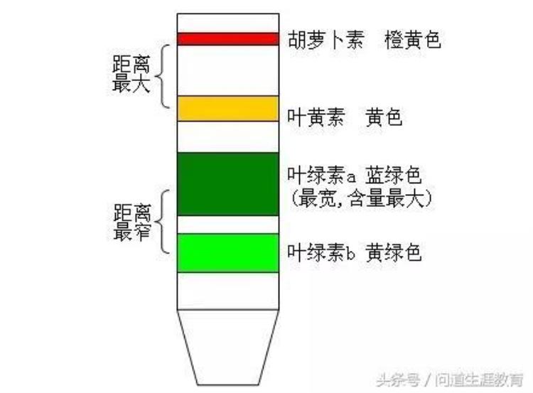 高考生物必考实验19个「2018高考生物必考的7个实验50分别丢了你都掌握了吗」