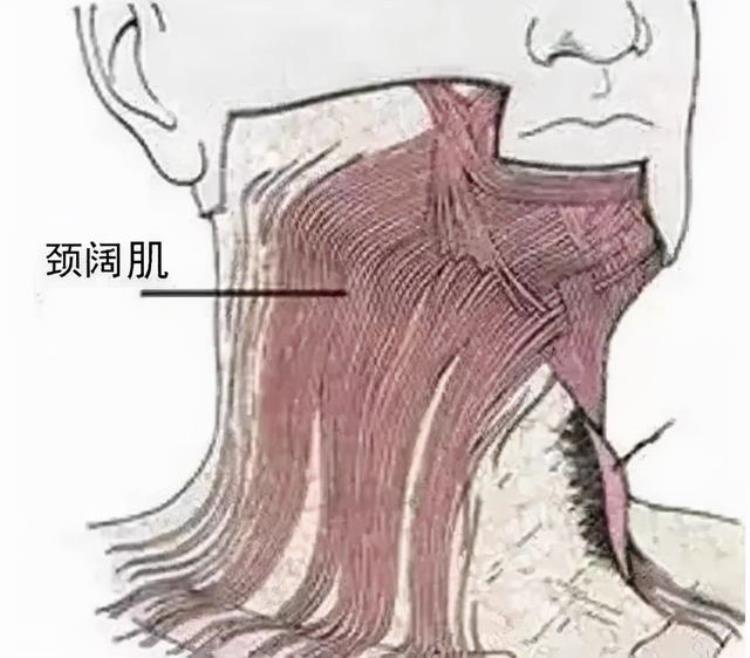 大s脸部变化「大S皮肤没有下垂没有皱纹为什么相比20年前脸变大了」