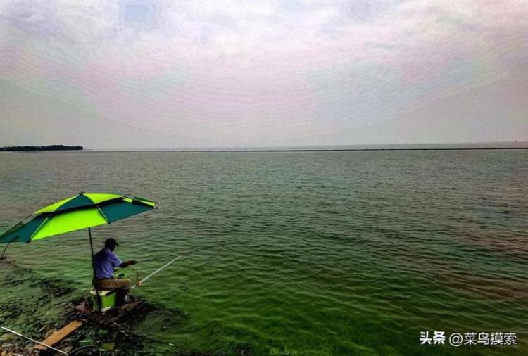 十一月份钓鱼钓深水还是浅水「十一月钓鱼钓深水还是浅水」