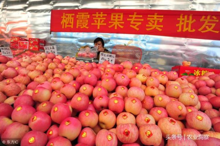 全国几大水果批发市场「全国3大水果市场10大苹果产区80以上45元不等好货还是少」