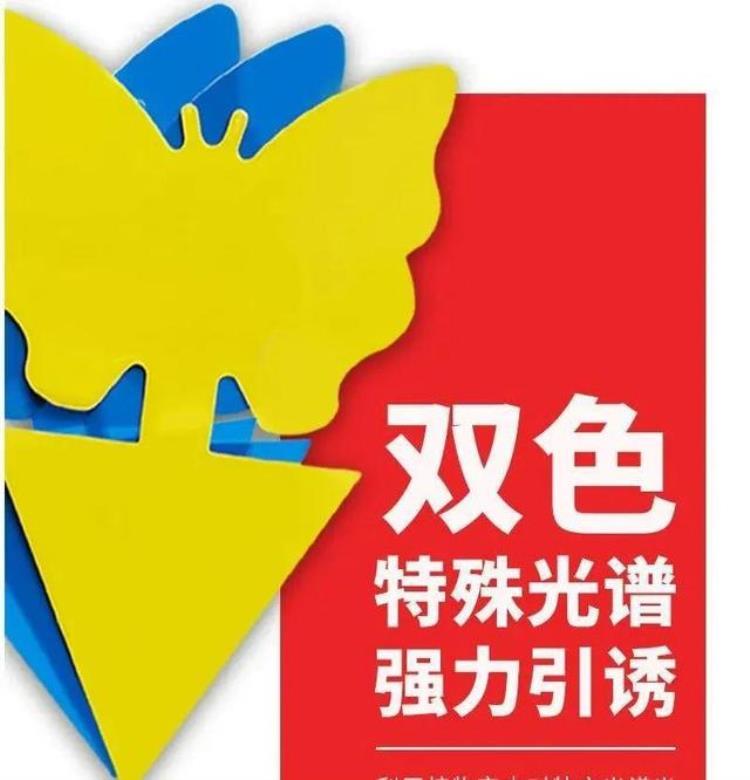 护花神可以杀蚜虫吗「春天请个护花神杀虫效果好安全放心无污染」