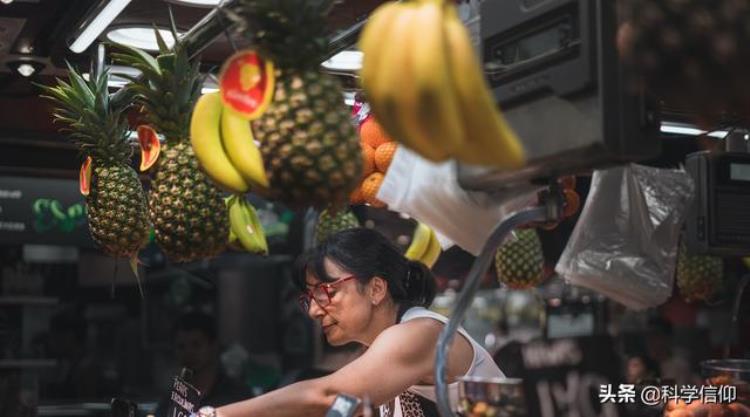 凤梨和菠萝哪个更贵「菠萝和凤梨是一回事凤梨凭什么比菠萝贵溢价太多」