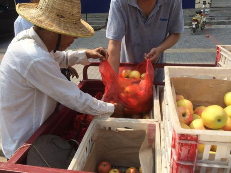 贩卖苹果一斤能挣多少钱「生活不易果农大爷沿街售卖自家果园的苹果十元三斤贵吗」