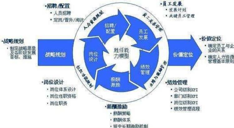 为什么做hr我找到了6个理由「为什么做HR我找到了6个理由」