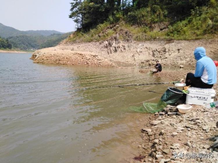 秋季野钓技巧全攻略「秋季野钓为何一鱼难求不妨从这几个方面作出调整」