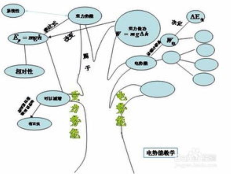 为什么狗撵兔子是不归路「你最应该了解的一个物理学秘密为什么狗撵包子走直线」