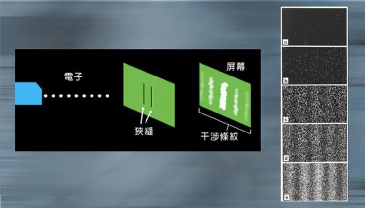 为什么狗撵兔子是不归路「你最应该了解的一个物理学秘密为什么狗撵包子走直线」