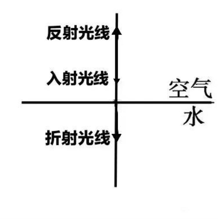 物理光的折射讲解「详细又全面初中物理光现象之五光的折射」