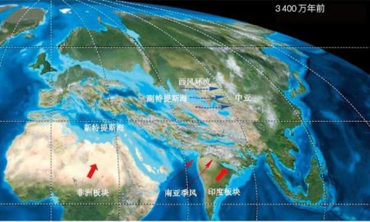 乌龟 进化论bug「进化论的终极BUG乌龟如何成为科学家们的噩梦」