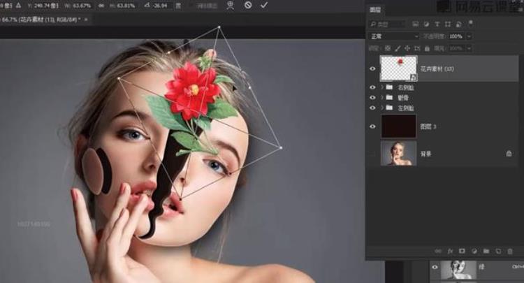 adobephotoshop已停止工作「AdobePhotoshop常见故障30个问题解决方法创意裂开花朵人像教程」